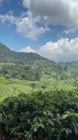 Tafakur Alam🍃 #masyaallahtabarakallah #telagasaatpuncak 