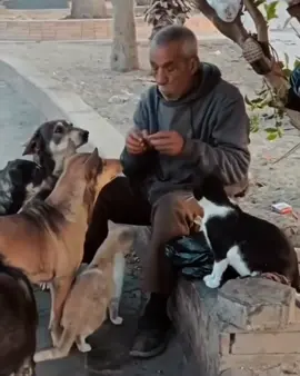 وَعَلَى اللَّهِ فَلْيَتَوَكَّلِ الْمُؤْمِنُونَ.💛 #عمار_الكظمي #fyp 