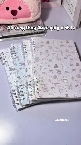 Sổ còng xinh iu mới có động lực học 🥰 #chiakarui #xuhuongtiktok #dodunghoctap #sổcòng #tiktokshop 