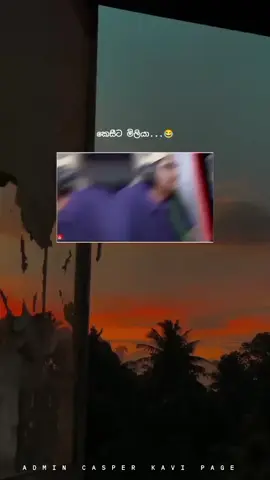 අඩො එක😂 රිපොට් වැදුන විඩියො එක අයෙත් දැම්මා යලුවනෙ🥺 තව එක රිපොට් එකක් වැදුනොත් account නැතිවෙයි එහින්දා @X Y A S H I ...BOY මෙක ෆලො කරලා තියා ගන්න🥺😩#foryoupage #trendinvideo #vayralvideo #Uuuuuuuuuu7uuuuuuuuuuuuuuuuuiuuuuuuuu #6yyyy6yyyyyyyyyyyyyyyyyyyyyyyyyyyyyyyyyuujhhjhg100jhkhgjhbyjgjujkikjmh 