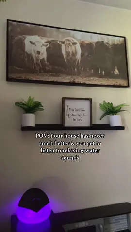 #waterairpurifier #airpurifier #houseessentials 