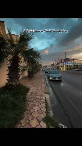 ربما! #الشرقاط  #الشتاء  #حب  #الشرقاط_صلاح_الدين  #fyp 