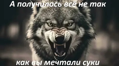 #музыка #а получилось все не так как вы мечтали суки 