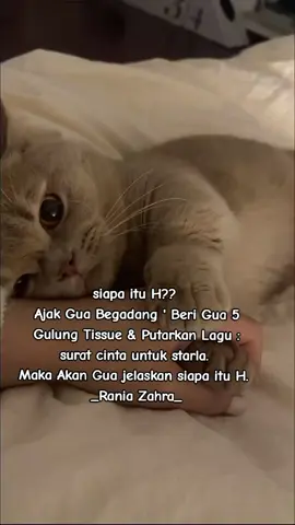 #bukanmaen🔥 #masukberanda #foryou #✌ 