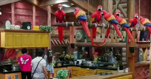 Abhinoor💕 #AshnoorKaur #AbhishekBajaj #Abhinoor #BiggBoss19