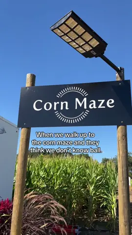 Real ballers know the corn maze at Warm Belly Farm is a fall must-do. #madisonwisconsin #fall #cornmaze #thingstodo #farm 