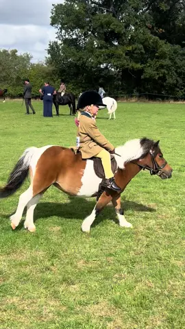 When your 4-year-old daughter (without me even knowing!) tells the judge she can canter with the big ponies and horses 😅🙈 And she only went and did it!! 💪 Nora and Mabel joined in with everyone else, proving that size doesn’t matter. Mabel is honestly one in a million for taking such good care of her tiny human 🥹🩷 and I’m so proud of Nora’s confidence to give it a go 🤩 such an amazing achievement — there’s no stopping her now! #fyp #poniesoftiktok #pony #confident #amazing 