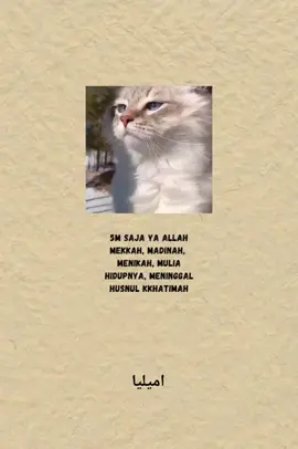 Bagian 38 // 🤭 @محمد نور سالم 🤍 #quoteslucu #kucinglucu #foryoupage #masukberanda #fyppppppppppppppppppppppp 