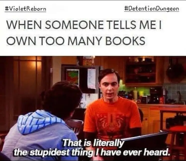 The limit doesn’t exist. #bookish #bookgirlies #bookmemes #bookmeme #booksbooksbooks 