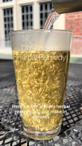 An ancient remedy for gut health!!  #herbalism #fyp #DIY #holistichealth #guthealth 