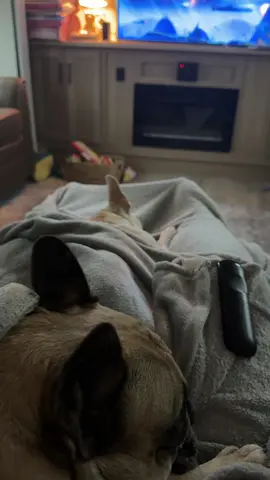 #LIVEIncentiveProgram #LIVEStory #PaidPartnership 