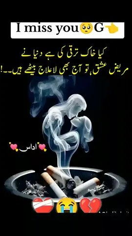 Shera hello hay kya hal hai doston ka naam
