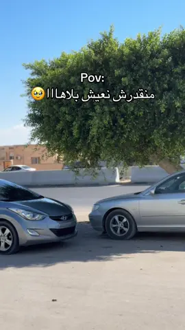 #CapCut #❤️❤️📸🔥 #مصورة #شدى #العجيلات 