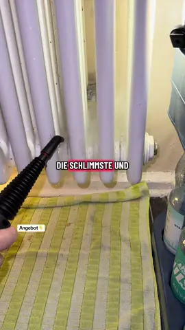 CLEAN TOK #jackiebeecrazy #dealsfürdich #CleanTok #cleanhome #dampfreiniger 