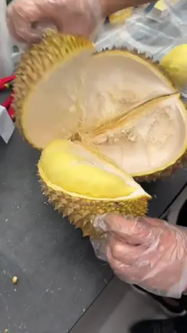 Sầu riêng vỏ siêu mỏng #saurieng #mesaurieng #khuisaurieng #viral #xuhuong 