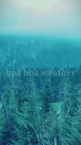 just a hoa hoa day in the mountains #hoahoa #twilight #fall #mountain #forest 