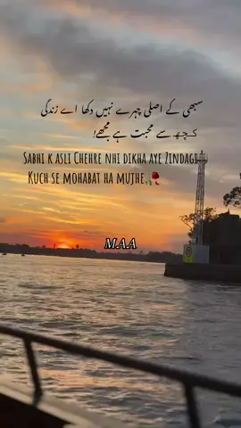#deeplines #urdupoetry #sydney #sunset #foryou 