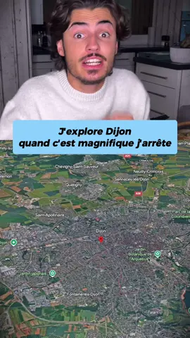 Tu es déjà allé à Dijon ? 🤔 #dijon #france #explore #geographie #geoguessr 