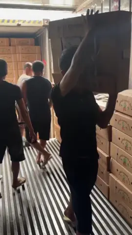 #xuhuong #bocxep #nghean #sonla #laichau 