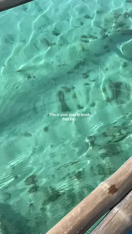 Vacation Dump ☀️ #SummerBeauty #beach #vacation #fyp #foryoupage 