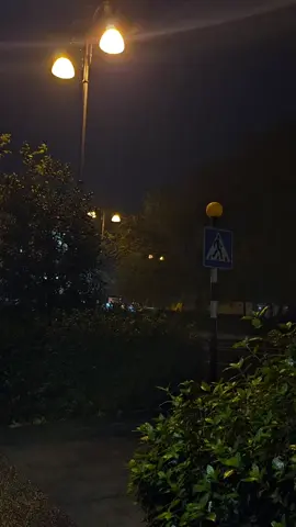 فيديو بدون صوت #🤍✨️  لتصميم القران #🤍✨️  مصممين قران #🤍✨️  فيديو بدون حقوق #🤍✨️ 