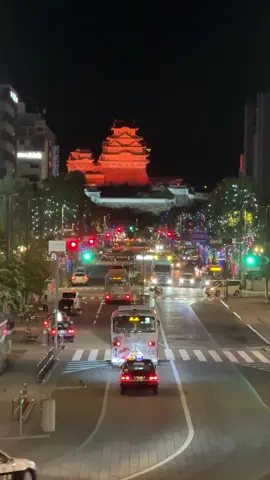 himeji castle at night✨ #kaburajadulu #jepangindonesia🇯🇵🇲🇨 