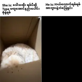 ဟဲ