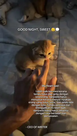 Selamat malam, dunia. Kita istirehat panjang kali nie, ya! Masih banyak tanggungjawab lain diluar sana yang sedang menanti. #goodnight #sweetdream #ceoofwriter 