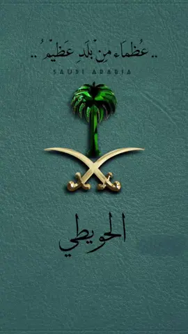 #93saudinationalday #ksa🇸🇦 ##اليوم_الوطني_السعودي_95 ##اكسبلورexplore 