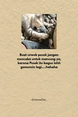bagian 10 // @liacoloection pesek punya keunikan tersendiri🤣#quoteslucu #kucinglucu #masukberanda #foryoupage #fyp 