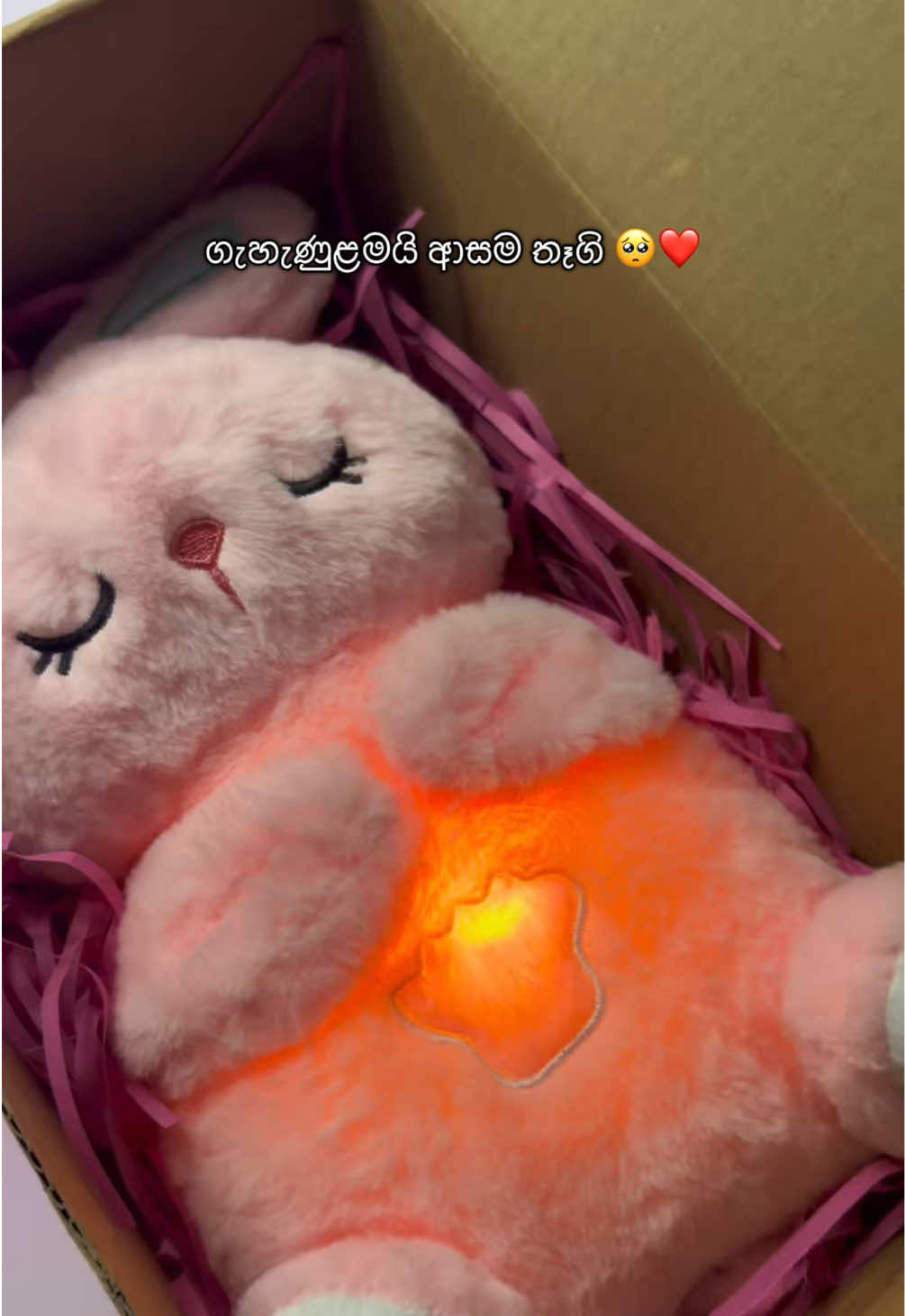 ලස්සනම තෑග්ගක්🥺❤️ 2700 price- ( light /music /sound, on,off mod )available #birthdaygift  #breathingteddy  #giftbox  #giftideas  #giftideas 