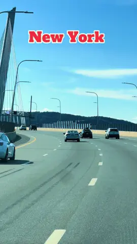 #newyork #viralvideo #fyp 