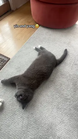 #fyp #fypシ #xyzbca 