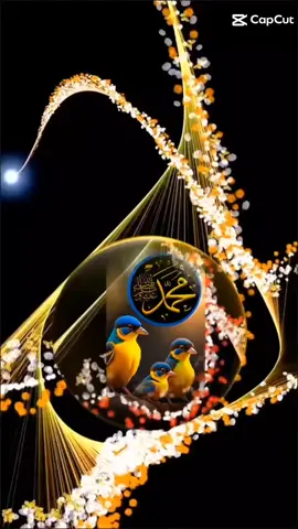 #aamiin🤲 #fypシ゚ #daaci_M #Qalinle #fyppppppppppppppppppppppp 