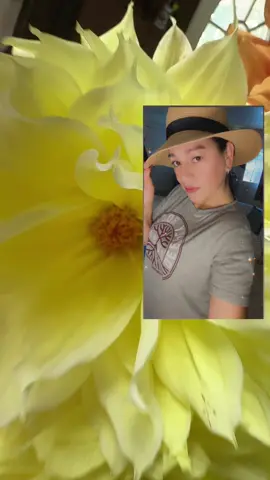 #👍👍👍👍 #🥰🥰🥰 #🇬🇹💯çhäpïnä❣️🇬🇹 #fytiktok 