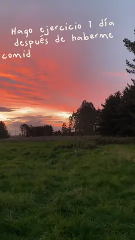 #CapCut  Alguien más en este mood ? 🤣 #TransformaciónFitness #FitnessChile #MotivacionFitness #ChileFit 