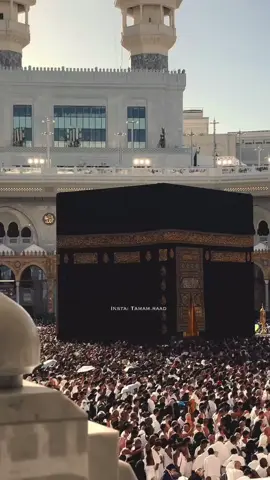 يارب كل دعوة توارت في أفئدتنا صُب عليها القبول صبًا صبا♥️.