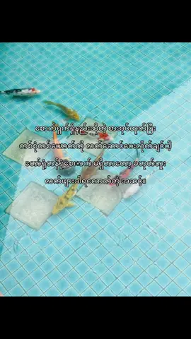 🙂‍↔️🙂‍↔️#tiktok #viral #fypシ #ရောက်ချင်တဲ့နေရာရောက်👌 