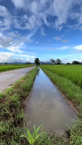 #วิวบ้านนอก🍃 #อีสานบ้านเฮา #ท้องฟ้า⛅🌈 #ต่างจังหวัด 