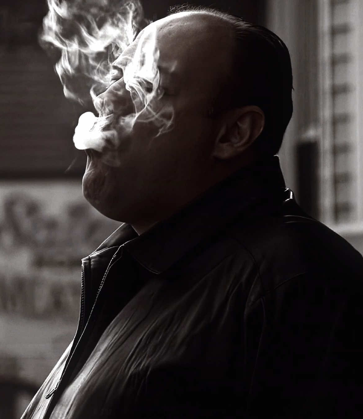 20 years in the whacked #thesopranos #tonysoprano #edit 