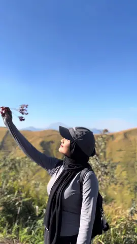 nature therapy🍃  #fyp #cinematic #outfitideas #ootdhiking #naturevibes🌿 