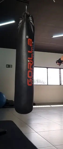 tentativa falha de me gravar brincando com o gorilla #boxing🥊 #boxe #figth #sacodepancada #gancho 