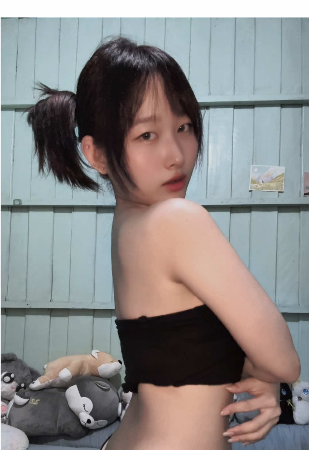 Fake body