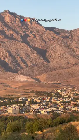 #reko_rekanii📍 #sheladze❤️🔥 #sheladze♥️👑_deralok_♥️sirye #ريكاني_ناسناما_مه_يه🇹🇯💪 #rekan 