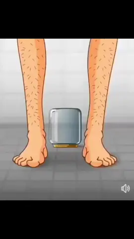 kapusta kapusta kapusta 2