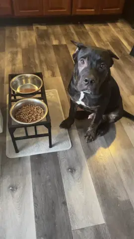 He had to double check like mom do I go 🤭 we being grateful for every meal around here 