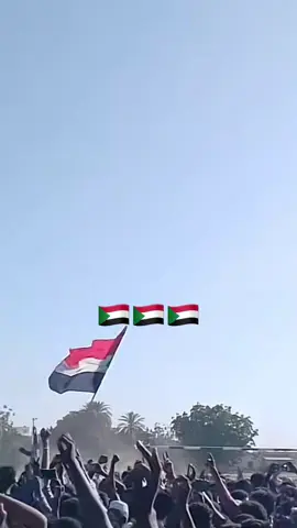 #toroboro💪🏿💪🏿💪🏿🇹🇩🇸🇩 #toroboro #soudanaise🇸🇩🖤🔥 #digay5naguil 