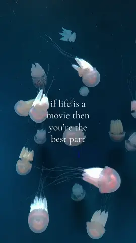 #bestpart #danielcaesar 