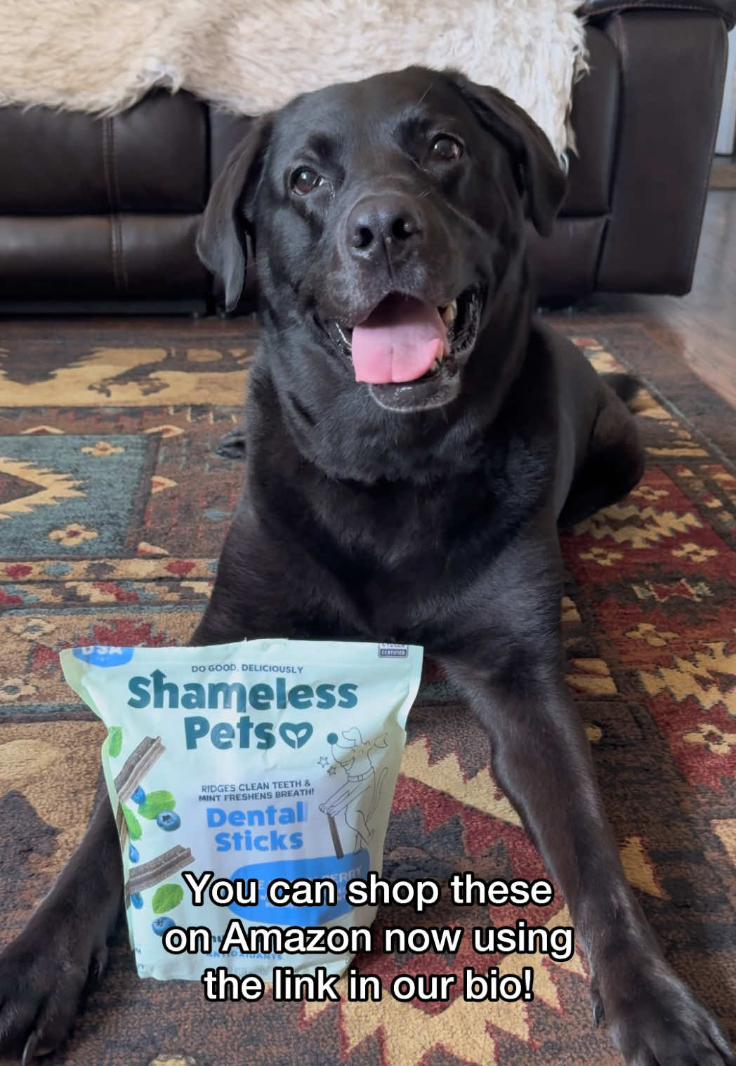 #ad What’s better than a yummy treat that keeps your dogs teeth and breath smelling fresh and clean?? Jax’s new favorite chew’s are @Shameless Pets Tooth Berry Dental Sticks that not only are super yummy, but helps reduce tartar and freshen his breath! They are grain free, made with no corn/soy, and made in the USA! You can get these on Amazon and shop with the link in our bio!** We are an Amazon affiliate and earn commission.
