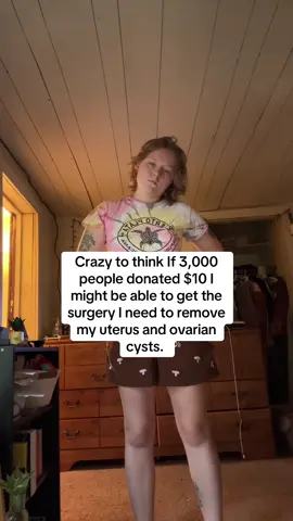 I made the go fund me weeks ago but too embarrassed to post about it so here I go #chronicillness #endometriosis #ovariancystawareness #fyp #gofundme 